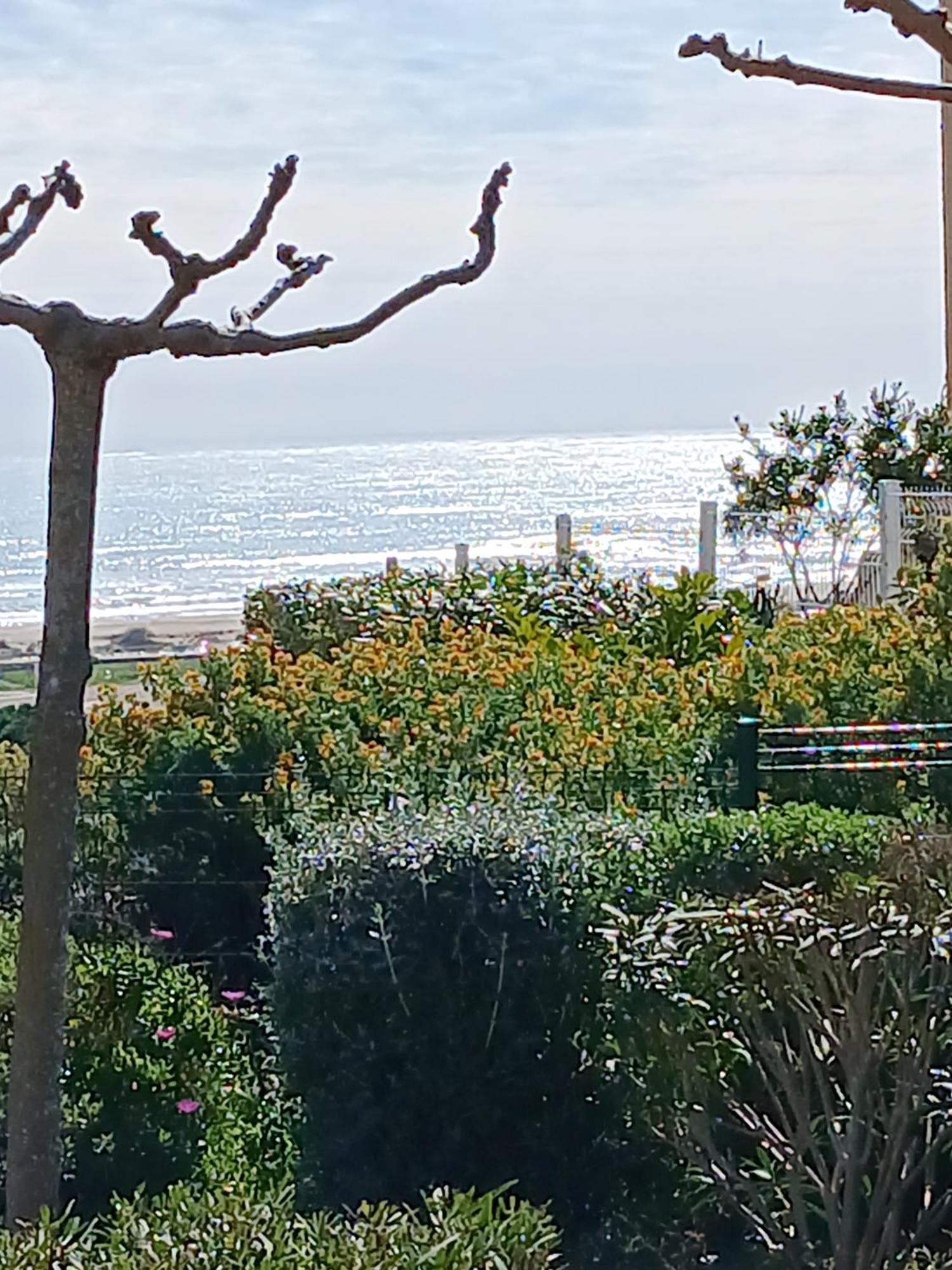 Plain-Pied Jardin 6 Personnes Clim Vue Mer Parking Wifi Terrasse Piscine Dans La Residence Saint-Pierre-la-Mer  Екстериор снимка